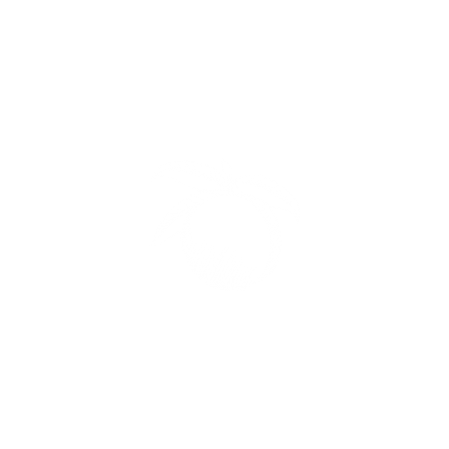 Logo Final-DURAZNITO2